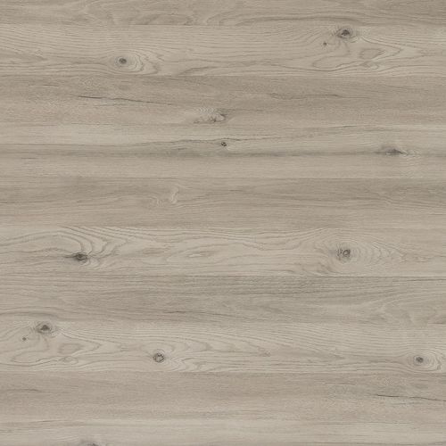 Piso laminado decorativo efeito de madeira - CHÊNE D'ARGENT - Polyrey - liso / de alta resistência / HPL