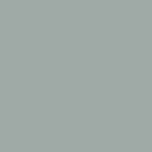 Piso laminado decorativo de cor lisa - GRIS BIRDY - Polyrey - liso / ignífugo / HPL