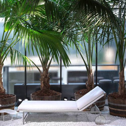 Espreguiçadeira contemporânea - SALE - Living Divani - em tecido / em aço inoxidável / de jardim