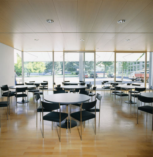 Cadeira de restaurante contemporânea - BANDIXEN - DIETIKER - metálica / sem braços