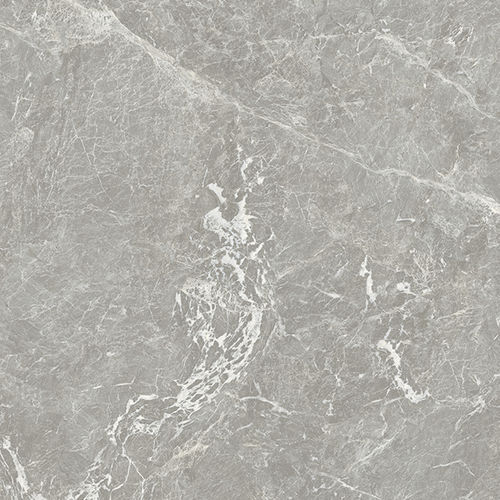Placas de revestimento em grés porcelanato - GRIGIO ANTICO  - Casalgrande Padana - polida / brilhante / lisa