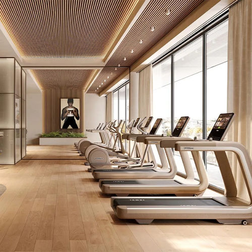 Esteira elétrica programável - SAND STONE - TECHNOGYM - da linha comercial / da linha residencial