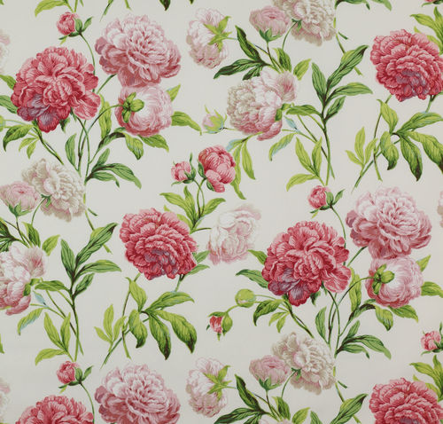 Tecido para estofados - SUMMER PALACE : PEONIES - Colefax & Fowler - com padrão floral / em algodão
