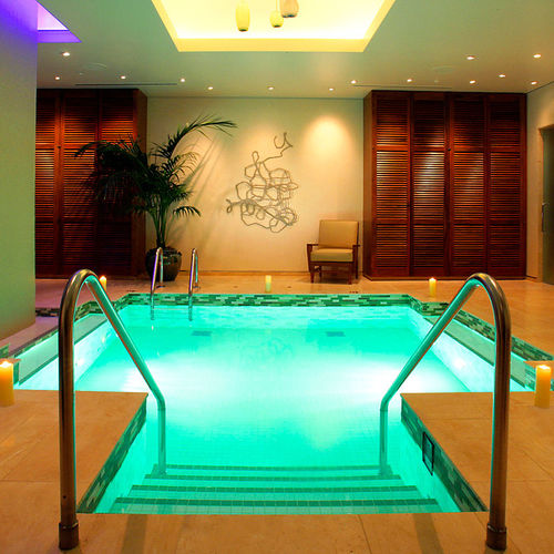 Piscina-spa de vários lugares - VITALITY  - Bradford Products LLC - em inox / sob medida / da linha comercial