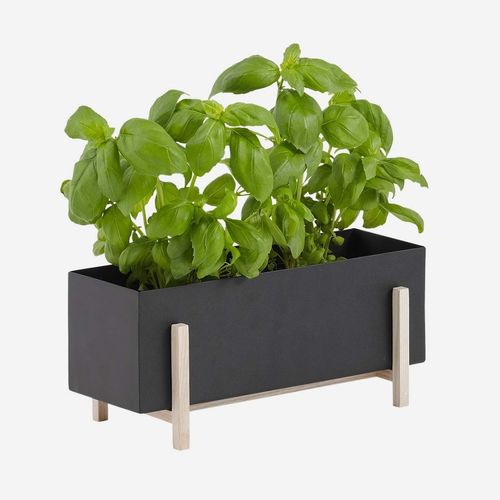 Vaso de jardim metálico - BOTANIC - DESIGN HOUSE STOCKHOLM - em madeira de freixo / de instalação livre / retangular