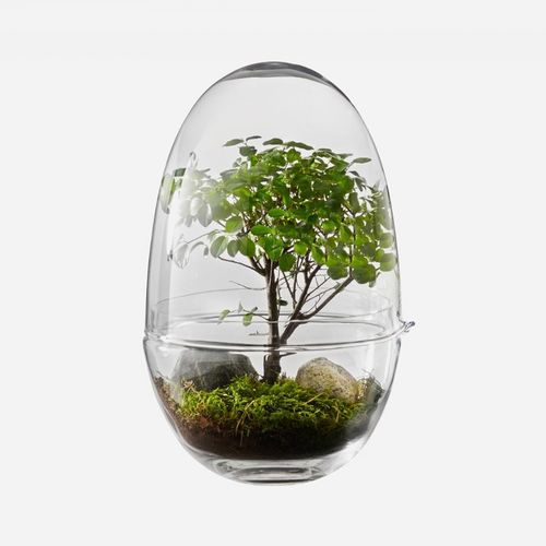 Vaso contemporâneo - GROW - DESIGN HOUSE STOCKHOLM - em vidro / feito à mão
