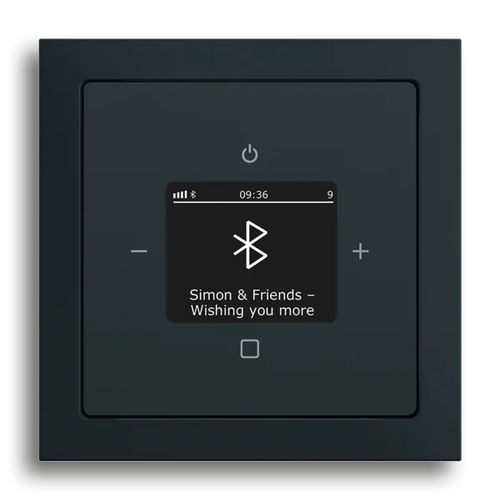 Controlador de áudio - BTCONNECT DAB+ - BUSCH-JAEGER