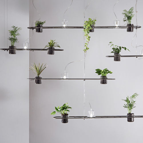 Pendente - PLANTICUS - Siru Lighting - em ferro / de design orgânico / Wire