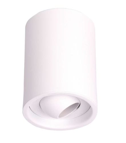 Downlight de sobrepor - CAMELEON CITIZEN - psmlighting - de LED / redondo / tubular