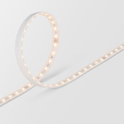 Fita de LED - FTS5 40K-24V - Feelux
