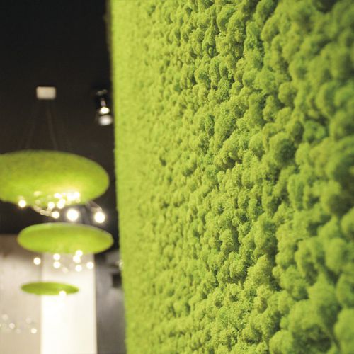 Parede verde para ambiente interno - LICHEN - ADRIANI E ROSSI EDIZIONI