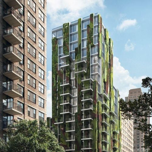 Parede verde de plantas naturais - AF UDC 80 - Schüco - em painel modular / natural / para ambiente externo