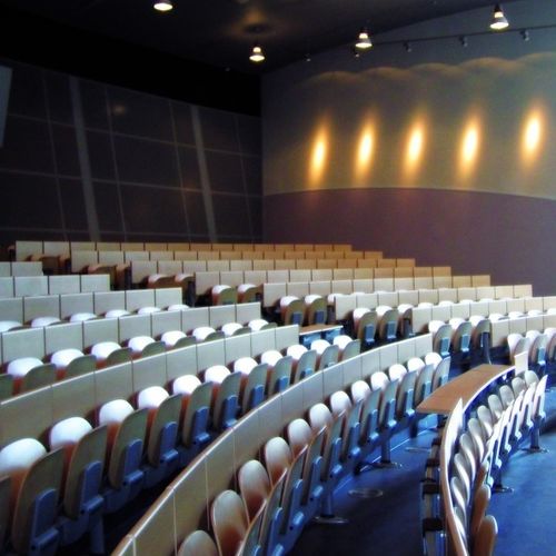 Cadeira de auditório contemporânea - COPERNICO - ESTEL - para ambiente interno / em madeira / em faia