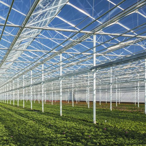 Painel de vidro de segurança - HORTICLEAN&trade; - PILKINGTON - estrutural / laminado / temperado