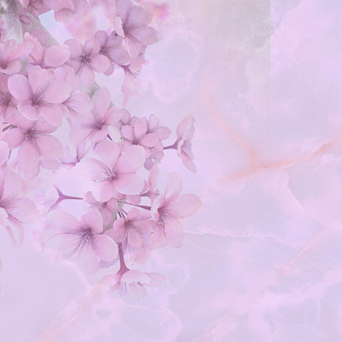 Papel de parede contemporâneo - BLOOM - Tonin Casa - floral / rosa / para sala de estar