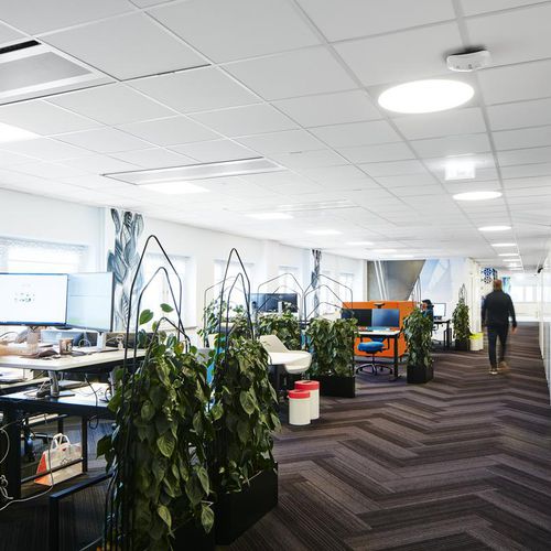 Forro em lã de vidro - FOCUS™ A - Saint-Gobain Ecophon - em placas / para escritório / para ambiente interno
