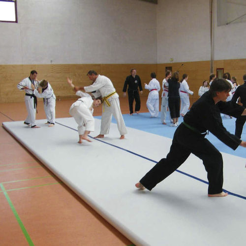 Tatame esportivo - AIRFLOOR - Modugame - MG Sport - para ginásio
