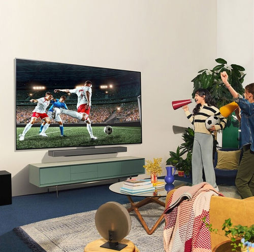 TV smart - EVO C4 - LG Electronics - UHD / OLED / 48"