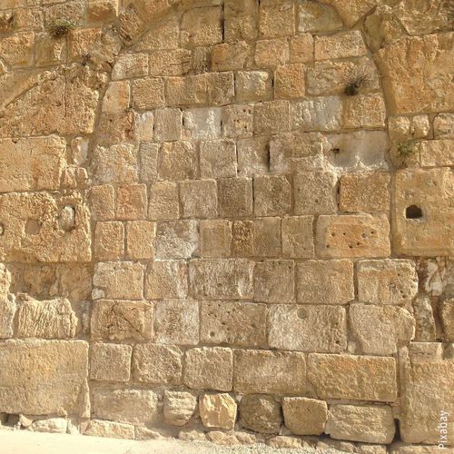 Placa de pedra em pedra calcária - EILAT – JERUSALEM - CREA STONE - para piso / para parede / escovada
