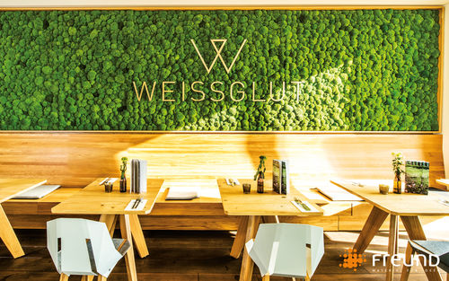 Parede verde estabilizada - GREENHILL - POLSTER MOOS / CUSHION MOSS / MOUSSE BOULE - Freund GmbH - em painel modular / para escritório / para restaurante