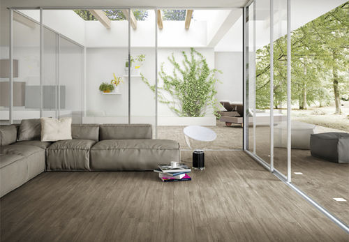 Placas de revestimento em grés porcelanato - ARBOR : BROWN - Century - polida / para sala / de piso