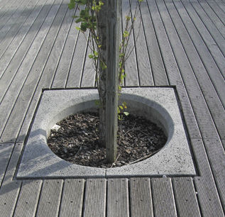 Grelha arvoreira quadrada - SOLTAS : DAFOZ 2 - A Amop Synergies - em concreto