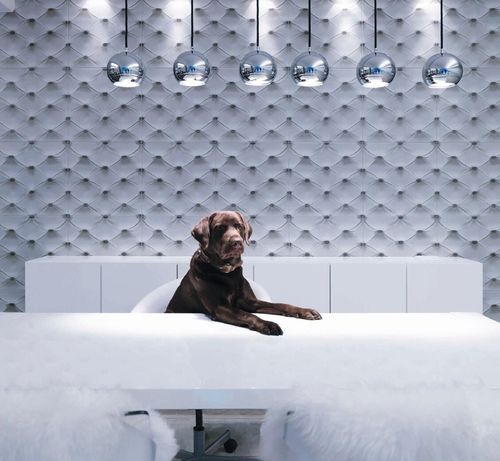 Placas de revestimento em grés porcelanato - EMOTILE - Ceracasa Ceramica - 3D / para ambiente interno / de parede
