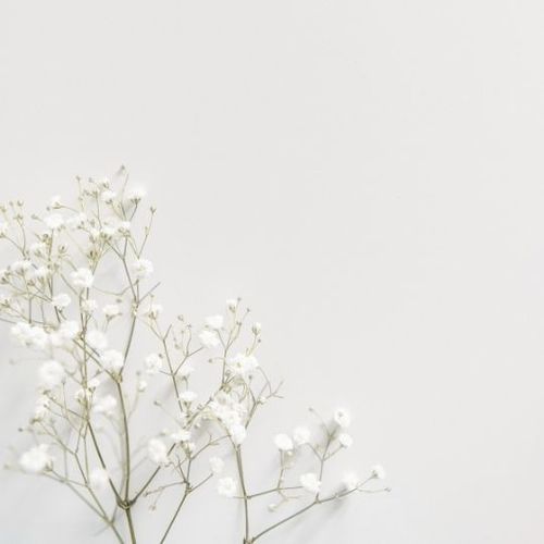 Placas de revestimento em porcelana - BRANCOS - Recer - brilhante / fosca / para ambiente interno