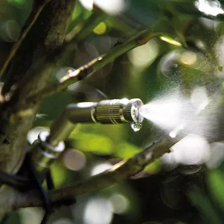 Jato de água contra mosquitos - Mosquitos bye - Piscine Acquaform