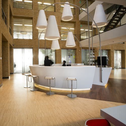 Piso maciço - INDUSTRIALE - MOSO Bamboo Products - em bambu / oleado / laqueado