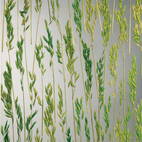 Painel decorativo para construção - A2 - AkrylDek s.r.o. - para parede divisória / para cozinha / para box de banheiro