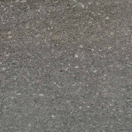 Placa de pedra em mármore - FOSSIL GREY - PAYANINI SRL - para piso / para ambiente interno / fosca