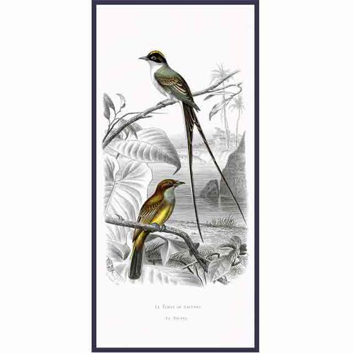 Painel decorativo de revestimento - CAYENNE BIRDS - Papiers de Paris - de parede / de alta resistência / em papel
