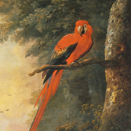 Papel de parede contemporâneo - RED MACAW 1/2 - Papiers de Paris - com animais / efeito papel de parede / multicores