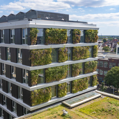 Parede verde de plantas naturais - MobiPanel - Mobilane - para ambiente externo