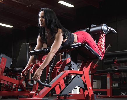 Aparelho de musculação cadeira flexora - FLY-213 - Foreman Fitness Europe GmbH - para ambiente interno