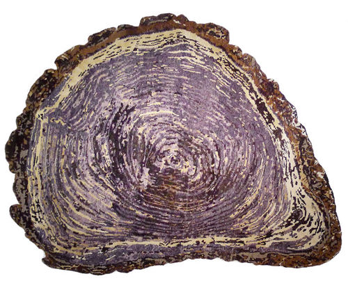 Tapete contemporâneo - TREE TRUNK - Sonya Winner - estampado / de lã / em seda