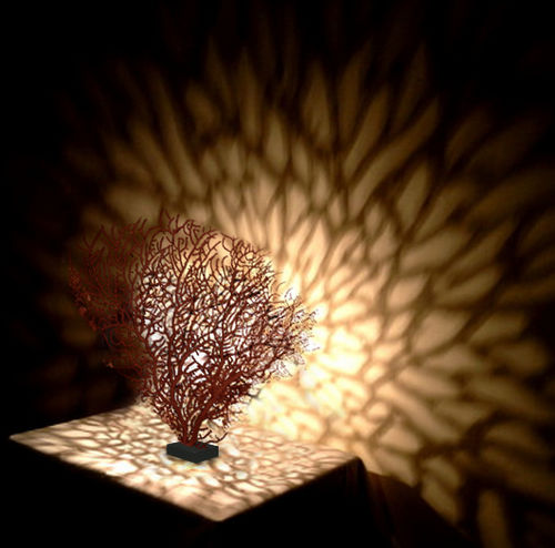 Luminária de mesa - CORAL - BOHEME DESIGN - metálica / de design original / Wire