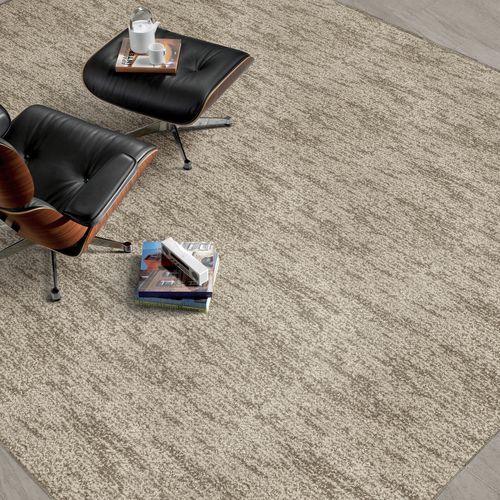 Carpete tufado - LIONEL  - Stanton Carpet Corporation - em poliéster / estampado / cinza