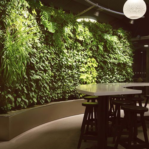 Jardim vertical de plantas naturais - LOUNGE AT ARLANDA TERMINAL 2 - GREENWORKS SWEDEN - sob medida / curvo / natural