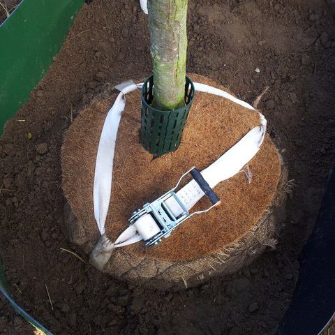 Sistema de ancoragem de árvore subterrâneo - BIO  - Greenmax