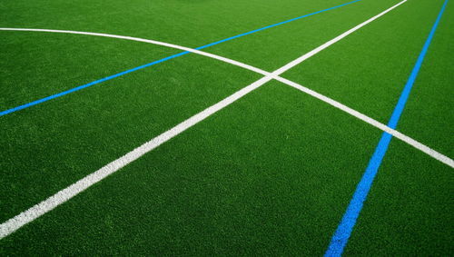 Grama natural - PRO R - Polytan GmbH - em rolo / para campo ou quadra esportiva / multifuncional