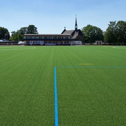 Grama natural - SYNERGY R - Polytan GmbH - em rolo / para campo ou quadra esportiva