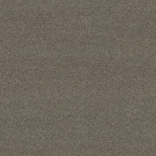 Carpete de pelo cortado - 5E966-00720 - Shaw floors - em PET / estampado / marrom