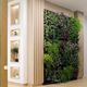 parede verde estabilizada / em painel modular / natural / de folhagem densa