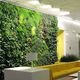 parede verde de plantas naturais / sob medida / para ambiente interno / de jardim