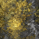papel de parede contemporâneo / estampado / efeito de tecido / dourado