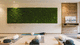 parede verde estabilizada / em painel modular / natural / de musgo estabilizado