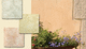 tinta decorativa / para ambiente externo / para fachada / acrílica