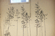 adesivo decorativo natureza